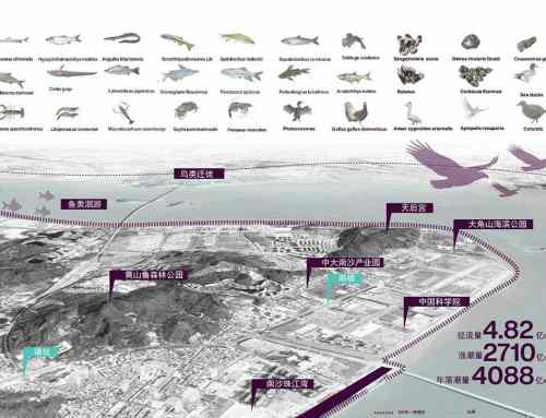 南沙雨洪公园设计/Resilient Design of Stormwater Systems